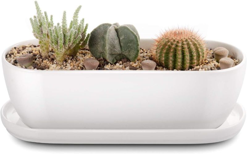 Photo 1 of 
E-liu Oval Ceramic Planter Pot