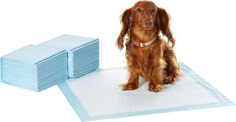 Photo 1 of 
Amazon Basics Dog and Puppy Pee Pads