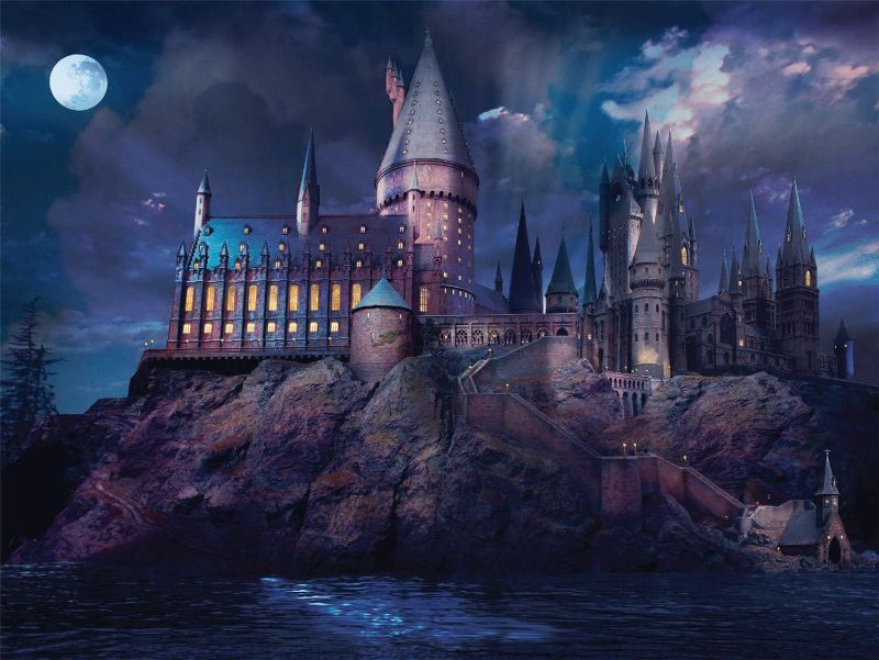 Photo 1 of 
FERICS 1000 Piece Jigsaw Puzzles for Adults - Magic Academy Castle Puzzle for Teens Boys Girls