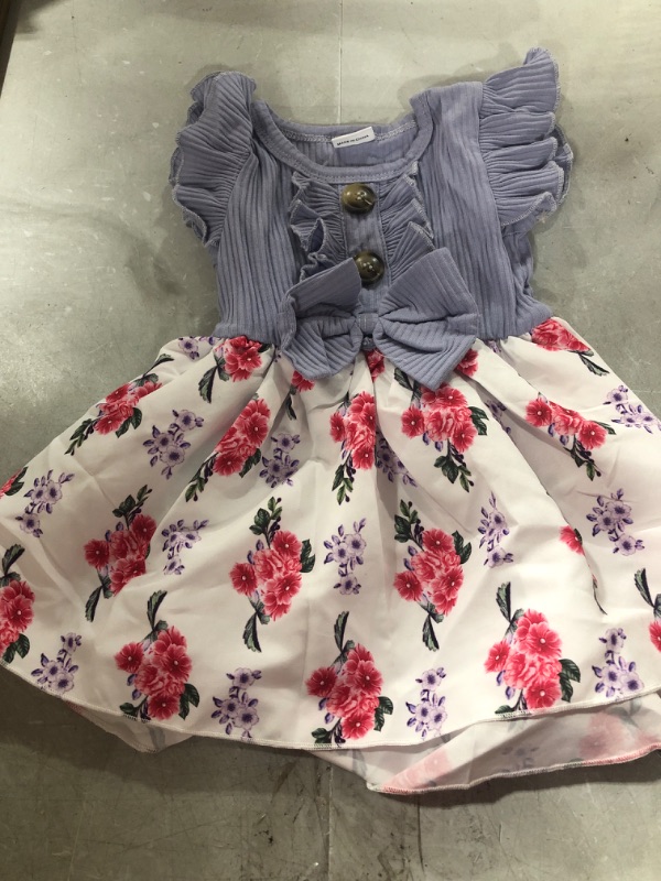 Photo 1 of BABY GIRLS FLORAL DRESS
SIZE 3-6 MONS