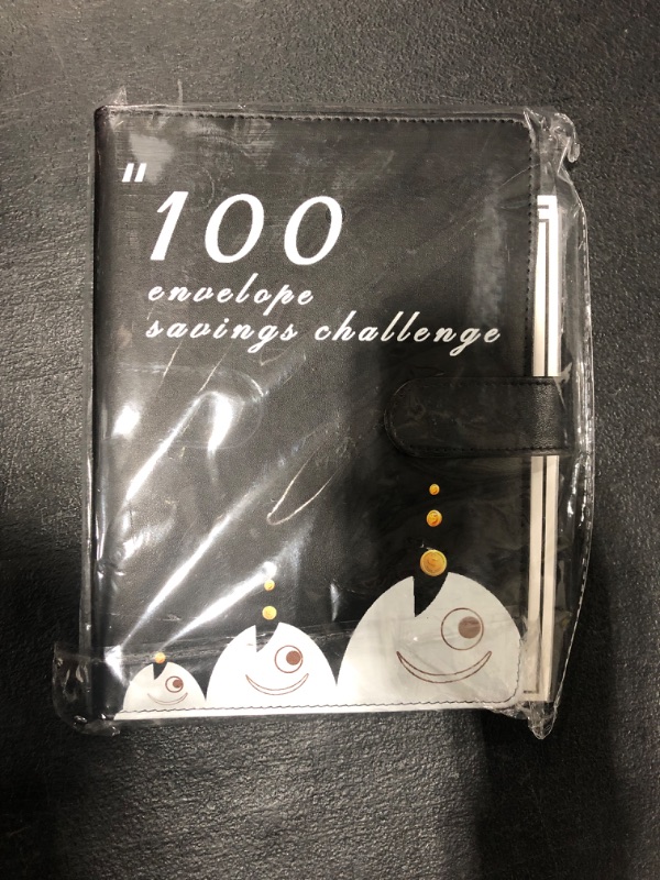 Photo 1 of 100 ENVELOPE SAVINGS CHALLENGE 