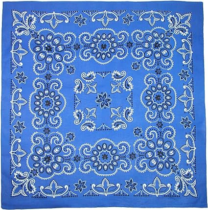 Photo 1 of CTM® 27 Inch Extra Large Cotton Paisley Bandana (Pack of 6)
