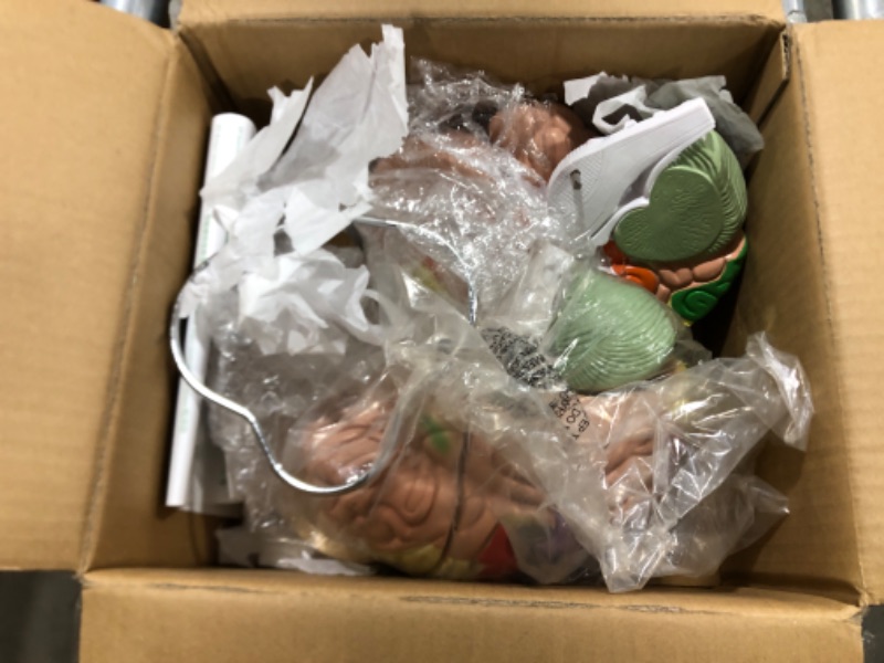 Photo 1 of Dyna-Living Human Brain Model Anatomy 2X Life Size Human Brain Anatomical Model for Neuroscience with Color-Coded Detachable Brain Model for Science Research Medical Learning or Model Display