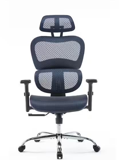 Photo 1 of FENBAO Ergonomic Blue Chair Modern Office Chair with Lumbar Support Breathable Mesh Covering Fully Adjustable Armrests