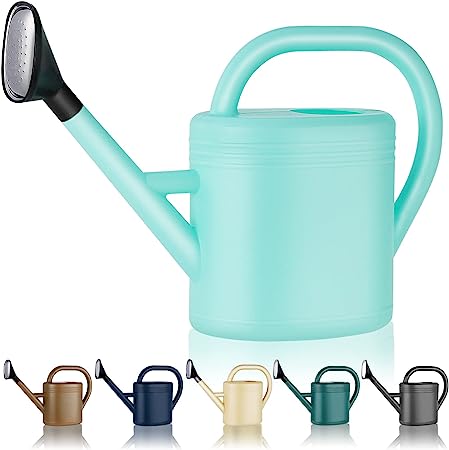 Photo 1 of 1 Gallon Watering Can for Indoor Plants, Garden Watering Cans Outdoor Plant House Flower, Gallon Watering Can Large Long Spout with Sprinkler Head