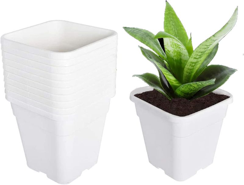 Photo 1 of 10-Pack 0.6 Gallon Square Plastic Garden Planter Pots Flower Seedling Injection Molded Container Fit for Indoor Outdoor Plants Seedlings Flowers Vegetables White
