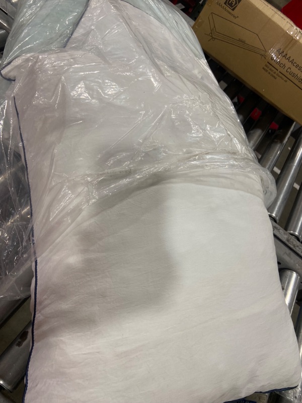 Photo 2 of White Pillow 2pk 