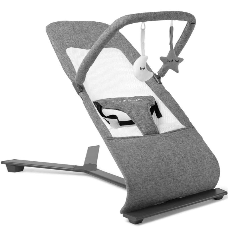 Photo 1 of  Baby Delight Alpine Deluxe Portable Bouncer | Infant | 0 – 6 months | Charcoal Tweed 