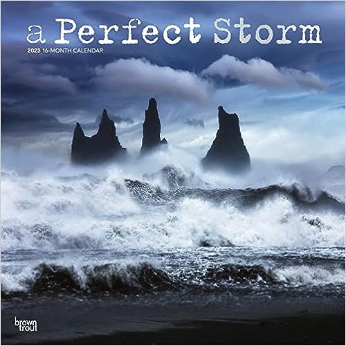 Photo 1 of A Perfect Storm | 2023 12 x 24 Inch Monthly Square Wall Calendar