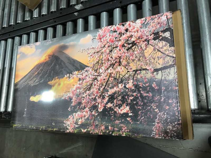 Photo 2 of 35 X 20 INCH CHERRY BLOSSOM PAINTING 