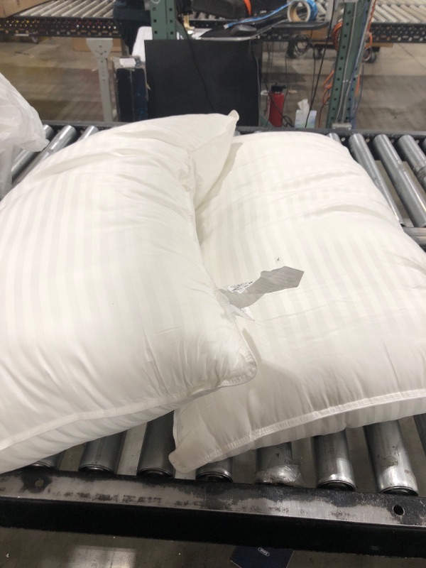 Photo 1 of 2 WHITE PILLOWS 20 X 36IN