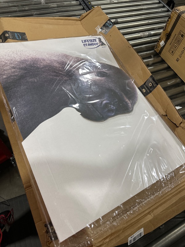Photo 1 of Cardboard People Gorilla Life Size Cardboard Cutout Standup