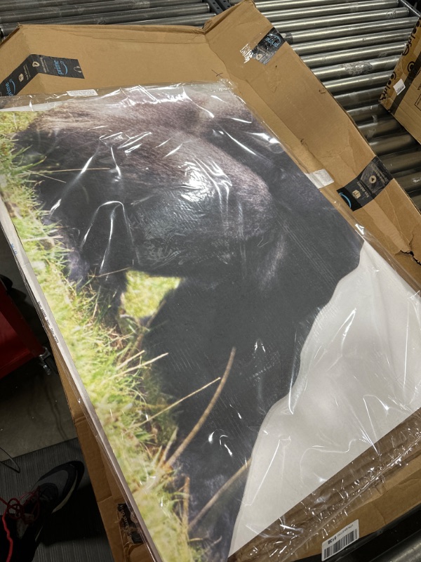 Photo 1 of Cardboard People Gorilla Life Size Cardboard Cutout Standup