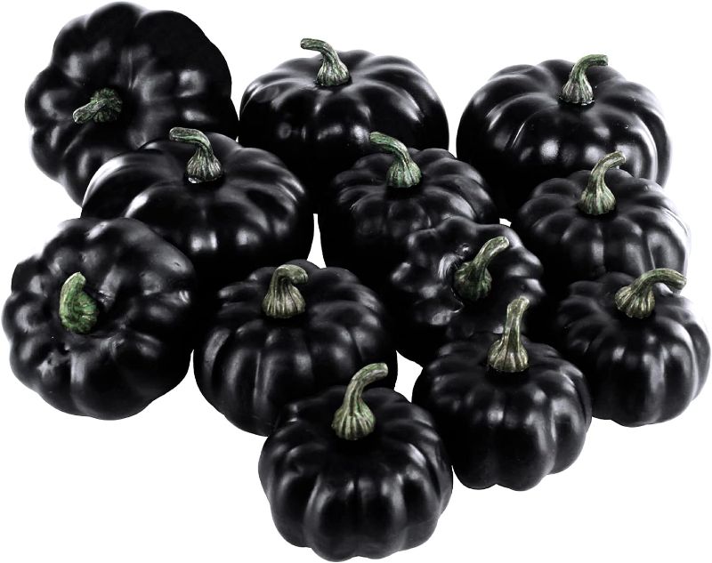 Photo 1 of 12 Pcs Assorted Sizes Pumpkins (Solid Black)