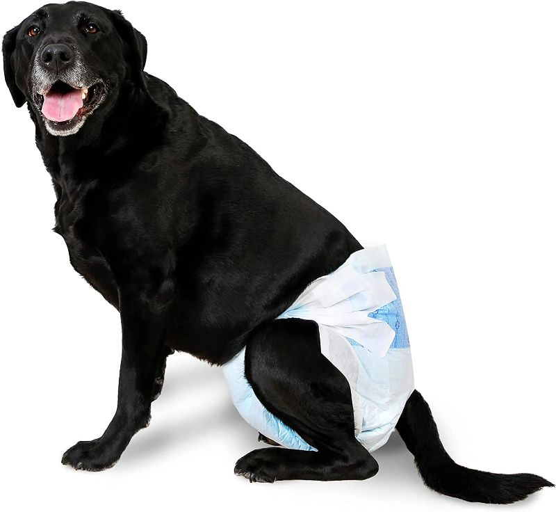 Photo 3 of Disposable Dog Diapers with FlashDry Gel Technology - LL, 5 Count
