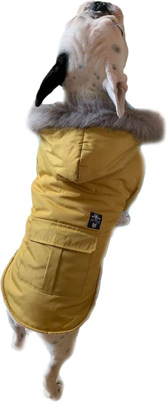 Photo 2 of PetBoBo Cat Dog Doggie Down Jacket Hoodie Coat Pet Clothes Warm Clothing for Small Dogs Winter (xS, Yellow)
