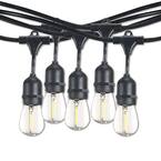 Photo 1 of Outdoor/Indoor 48 ft. Plug-in Edison Bulb S14 Shatter Resistant LED Black String Light with 15 sockets-Bulbs included