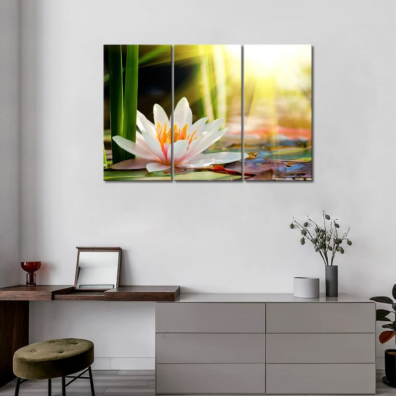 Photo 3 of 3 Panel Wall Art Beautiful Water Lily Sunshine Painting The Picture Print On Canvas Flower Pictures for Home Decor Decoration Gift Piece (Stretched by Wooden Frame,Ready to Hang)
