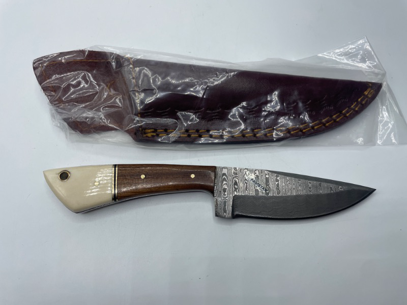 Photo 2 of SZCO Supplies 8" walnut and bone DM-1123BO Hunting-Fixed-Blade-Knives