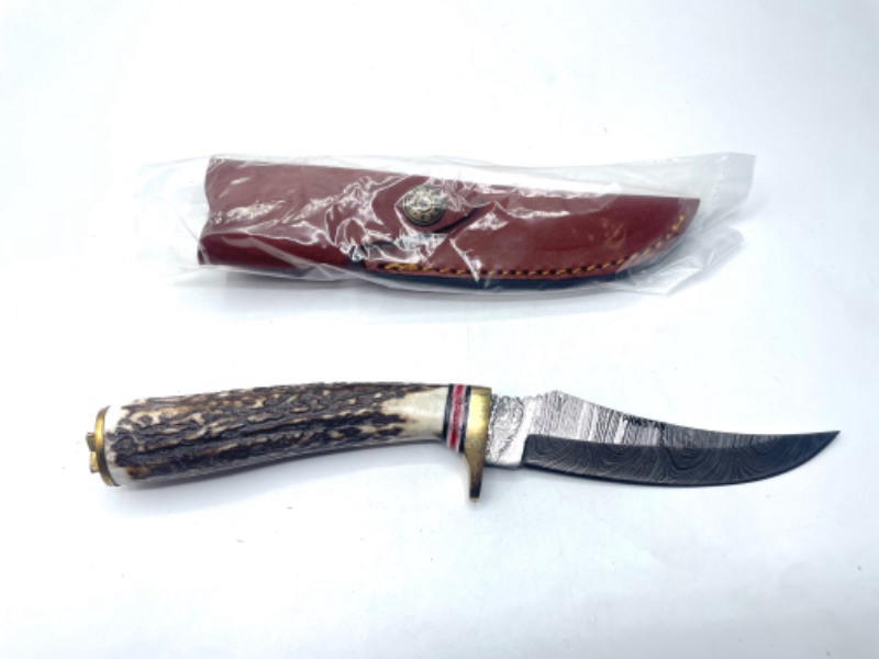 Photo 2 of Damascus Szco Supplies Slim Blade Skinning Knife
