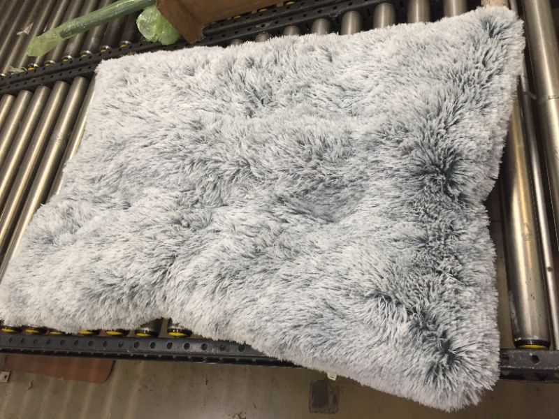 Photo 1 of 36 in medium dog bed Gray