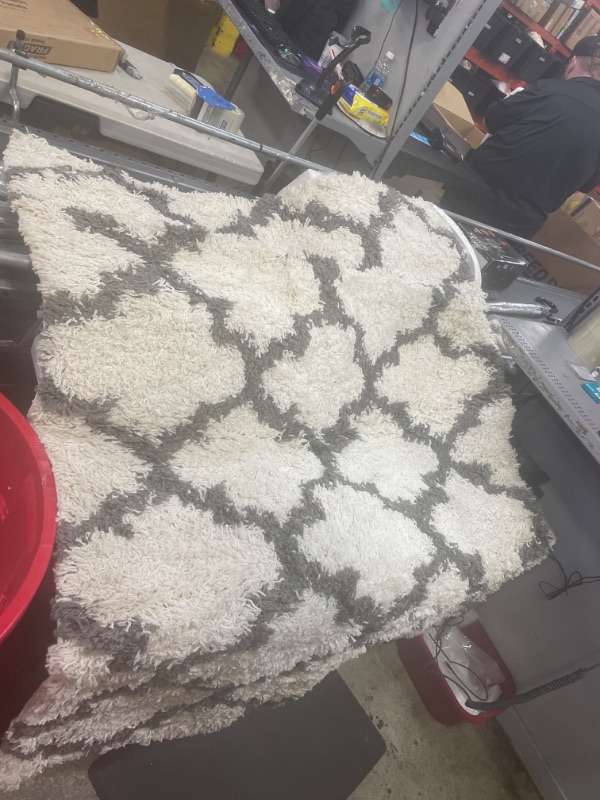 Photo 1 of 46X60 Area Rug