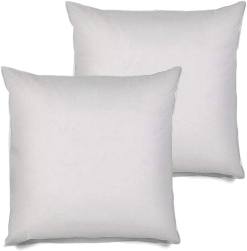 Photo 1 of 2 Pack Pillow Insert 28x28
