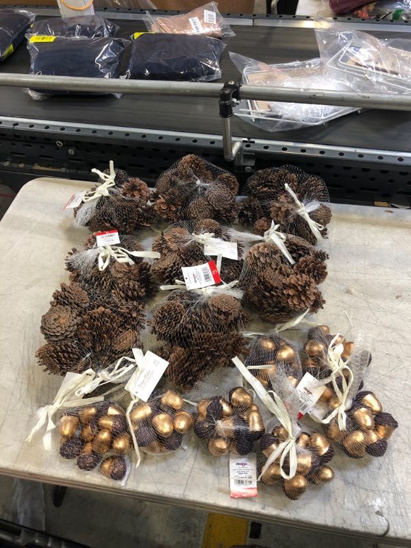 Photo 1 of 15 PC  ACORNS AND PINECONES 