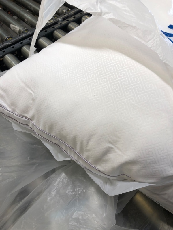 Photo 2 of 2 packs of white pillow 