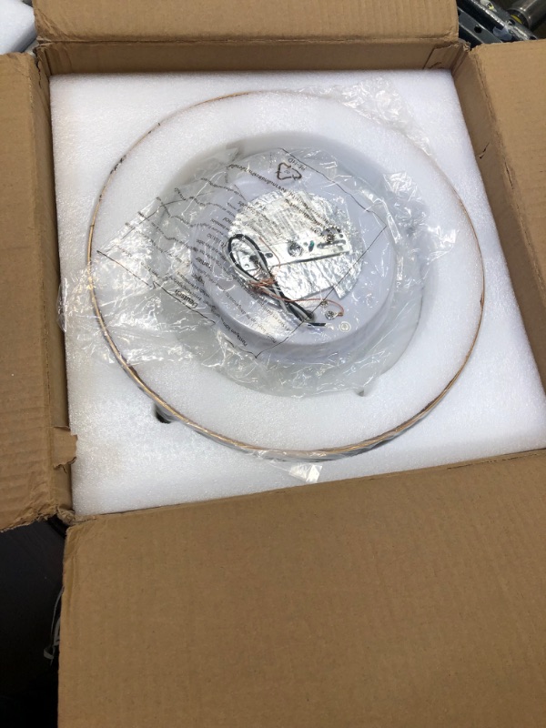 Photo 1 of Autelo Close to Ceiling Light Fixture, 14" Frosted Glass Shade Flush Mount Ceiling Light in White Finish E26 Socket for Living Room Hallway Bedroom C3336XS WH