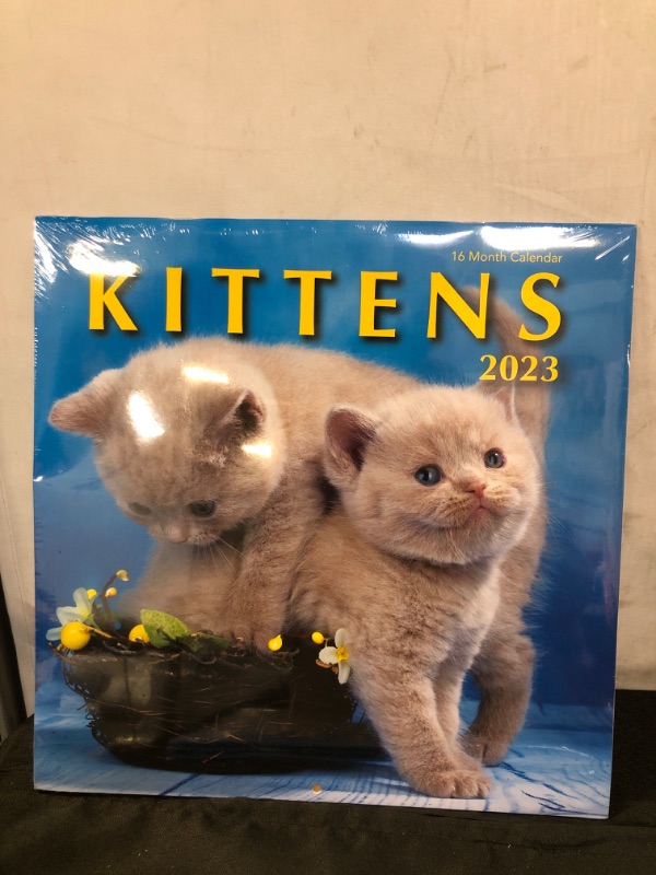 Photo 2 of Kittens 2023 Hangable Wall Calendar - 12" x 24" Open - Cute Kitty Cat Photo Gift - Sturdy Thick Beautiful Kitten Photography - Large Full Page 16 Months for Organizing & Planning - Includes 2022