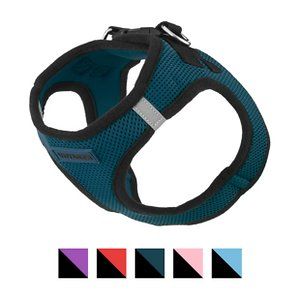 Photo 1 of Best Pet Supplies Voyager Black Trim Mesh Dog Harness, Blue, Medium