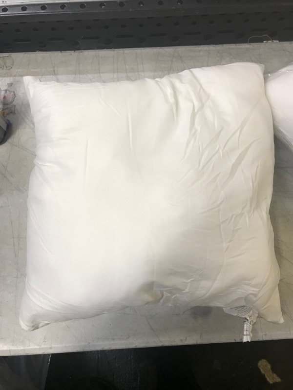 Photo 1 of 2 SMALL PILLOWS FACTORY SEALED 