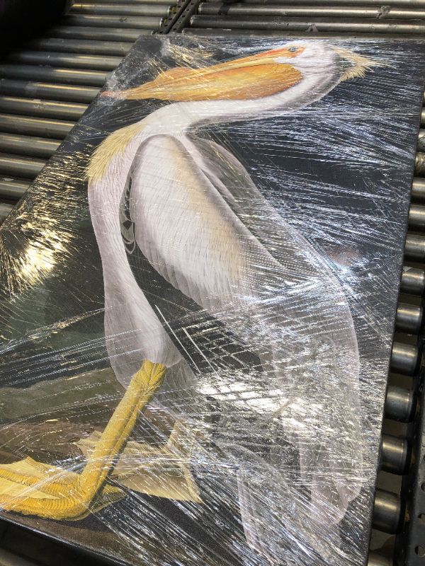 Photo 2 of American White Pelican Artwork by John James Audubon, 30 by 47-Inch Canvas Wall Art American White Pelican- Canvas Art 30x47 30 x 47 in