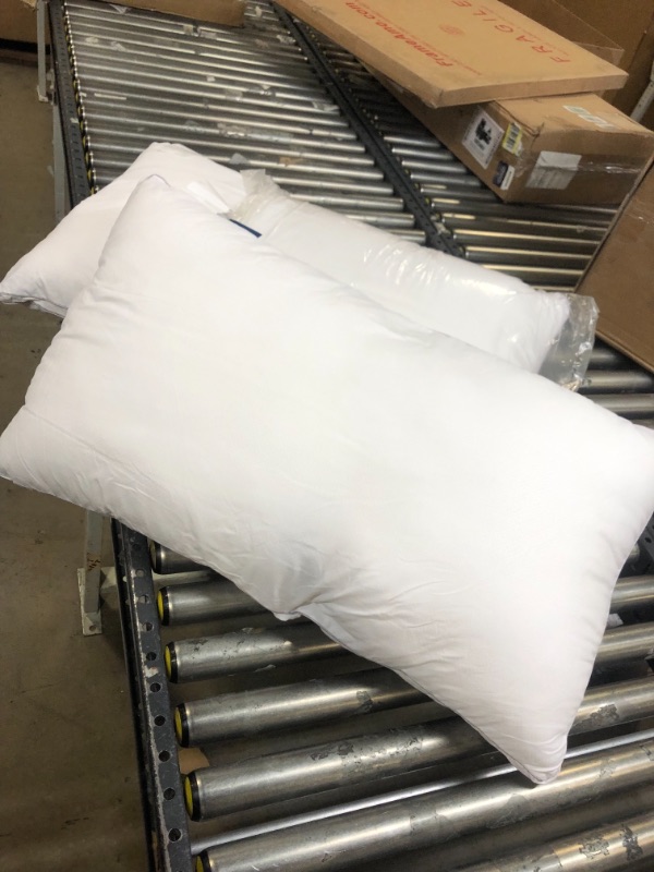 Photo 1 of 2 PCK VIEWSTAR 20 X 34 PILLOW