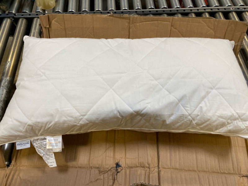 Photo 2 of  Premium Sleeping Pillow| European White Goose Down | 800 Fill Power | 300 Thread Count 100% Cotton Sateen Shell | Hypoallergenic |...KING SIZE
