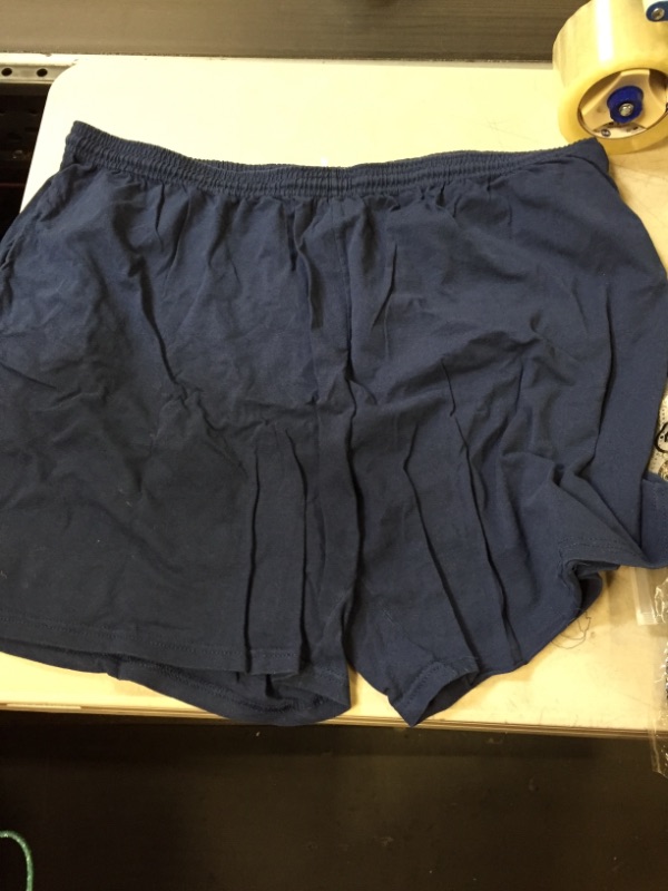 Photo 1 of HANES MENS SHORTS 2X