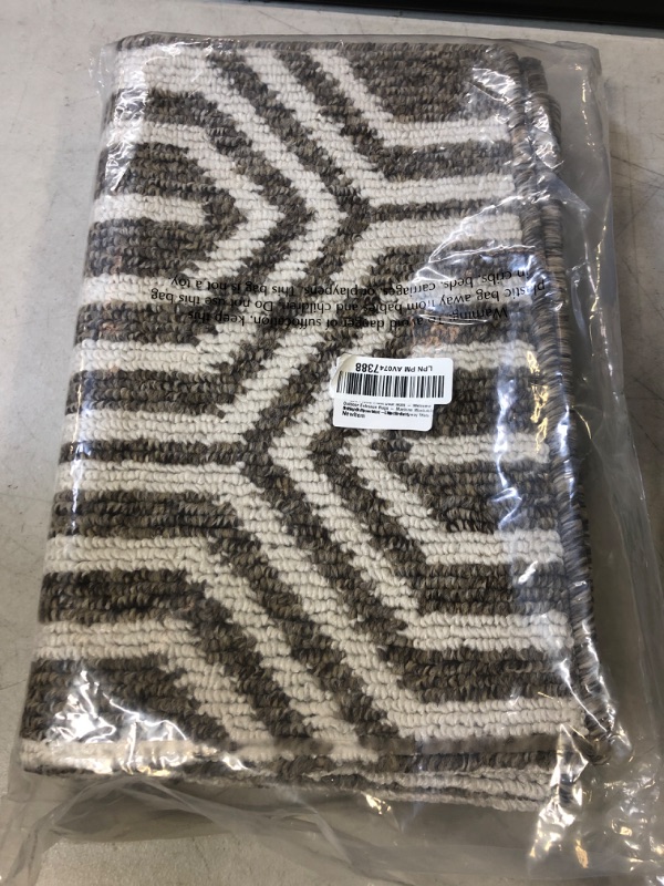 Photo 1 of 32 X 20 RUG BROWN/WHITE