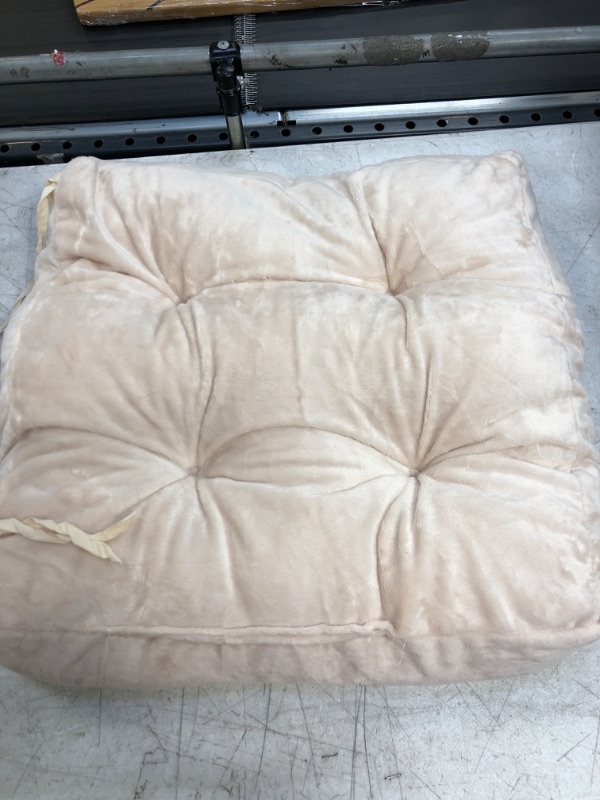 Photo 1 of BEIGE CUSHION 16X16