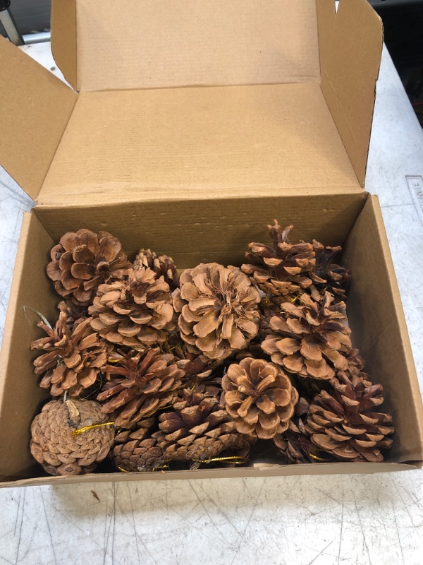 Photo 1 of  Natural Pine Cones, Christmas Rustic Pinecones Fall Garland Halloween Thanksgiving Decorations, Christmas Tree Fall Ornaments