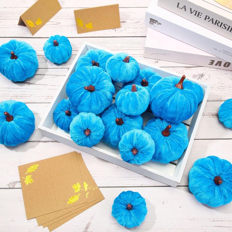 Photo 1 of 
Frienda 24 Pcs Artificial Velvet Pumpkins 