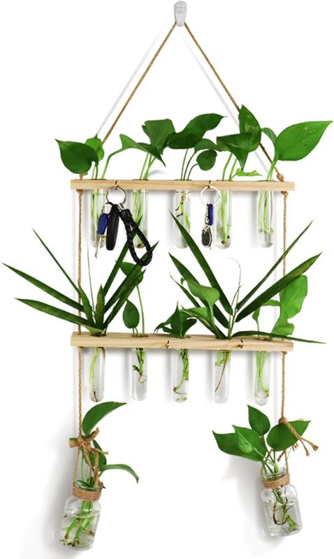 Photo 1 of 
Ethuh Plant Propagation Tubes and Key Hooks, 3 Tiered