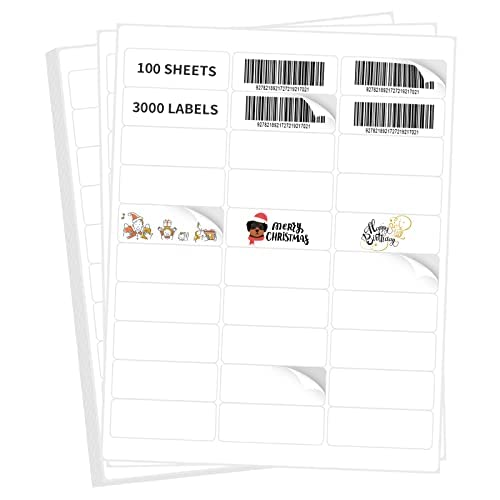 Photo 1 of L LIKED 1" X 2-5/8" Self Adhesive Shipping Labels for Laser & Inkjet Printers, Barcode Mailing SKU Labels 30-up (3000 Labels - 100 Sheets) 1" X 2-5/8"(30-up) 100 Sheet