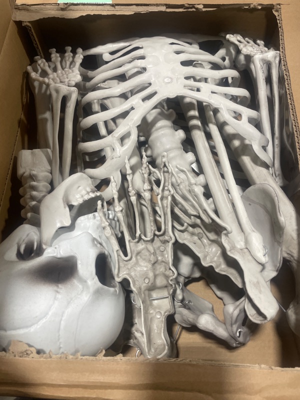 Photo 2 of 5.4FT Skeletons for Halloween Full Size, Realistic Posable Life Size Hanging Adult Human Skeletons Scientific Bones Models with Movable/Poseable Joints for Halloween Props Party Haunted House Decor