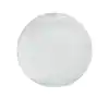 Photo 1 of 16 in. Dia Globe Clear Prismatic Acrylic with 5.25 in. Inside Diameter Neckless Opening
