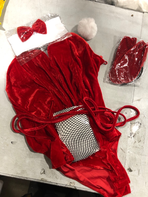 Photo 1 of Large Playboy Bunny Costume