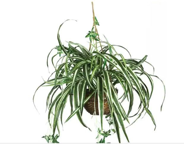 Photo 1 of 27 in. Artificial Silk Spider Plant Hanging Basket
