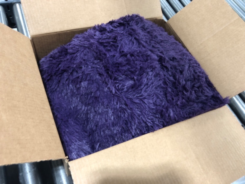 Photo 2 of Przemy Dark Purple Area Rug for Bedroom, 4x6 Feet Fluffy Shaggy Rugs for Living Room, Super Soft Fuzzy Carpet Rug for Kids Girls Room Dorm Nursery Indoor Home Decor 4 x 6 Feet Dark Purple