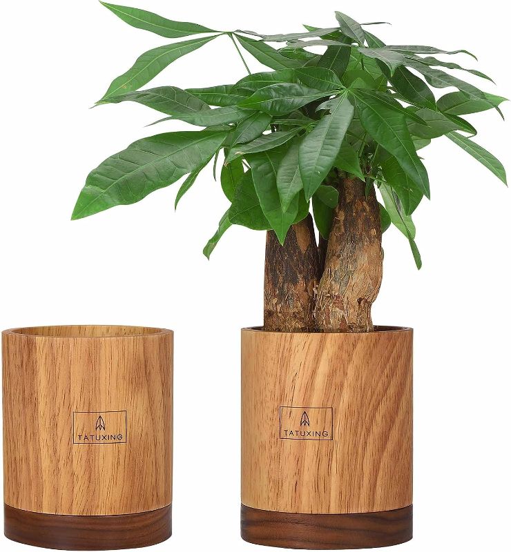 Photo 1 of 
TATUXING Planters for Indoor Plants with Drainage Holes and Saucer Natural Weather Resistant Wood Modern Decorative Flower Pots