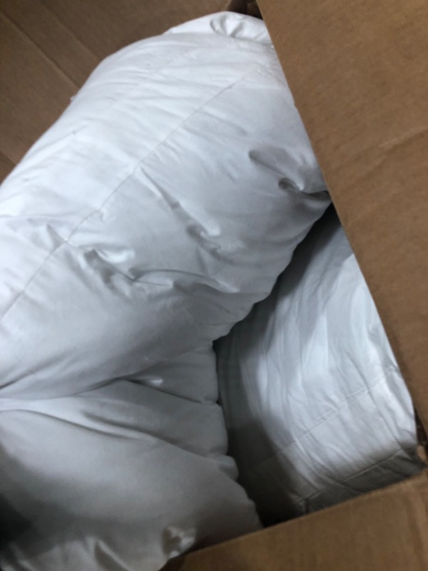 Photo 1 of 2 white pillows
